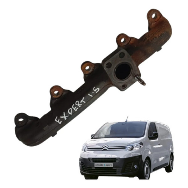 Coletor Escape Jumpy Expert Scudo 1.5 2022 2023